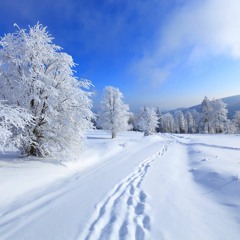 2016 Winter