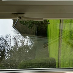 Alan Rickman looks out of his window