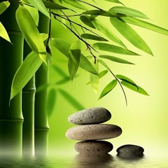 Lắng Nghe Tiếng Lòng