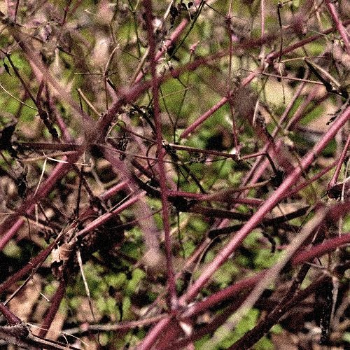 Yør - Unknown Trails