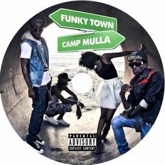 Camp Mulla -Feel No Pain