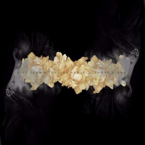 Bite [Tom & Collins Remix] - Troye Sivan