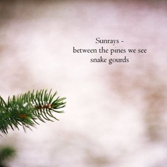 Sunrays [Naviarhaiku106 - Sunrays]