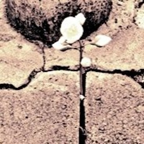 My Hope