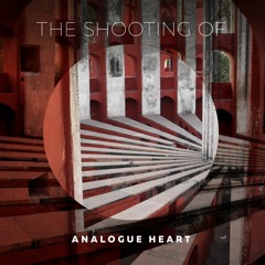 04 Analogue Heart