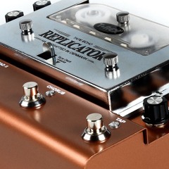 First Acoustic Test With T-Rex Replicator. Guitar - Taylor 714