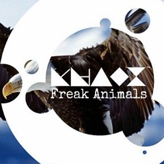 Martin Garrix vs. Timmy Trumpet - Freak Animals (KHAOZ mash-up)