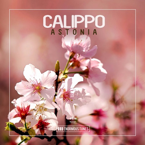 Calippo - I Just Go Crazy (Radio Mix)