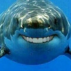 Closing Time - Semi Sonic cover