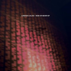 Lorenzo Calvio - Now Or Never (Andrea Arcangeli Remix)//Moodmusic Records