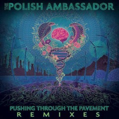 The Polish Ambassador - Pushing Through Pavement (Remixes) - Gathering Of The Tribes (saQi Remix)