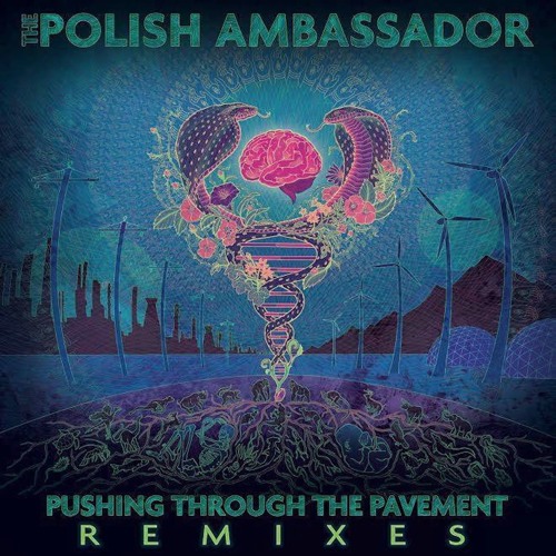 The Polish Ambassador - Pushing Through Pavement (Remixes) - Let The Rhythm Just (Mr. Rogers Remix)