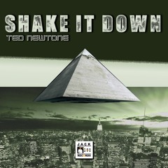Shake it Down !!! Out 15/02/2016