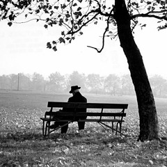 Chillin On A Park Bench