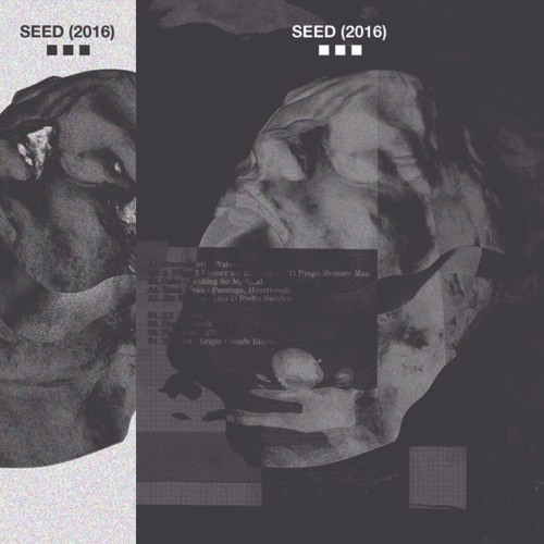 Seed