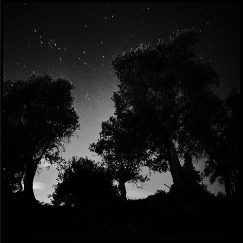 DannyX - Selva *FD on Buy*