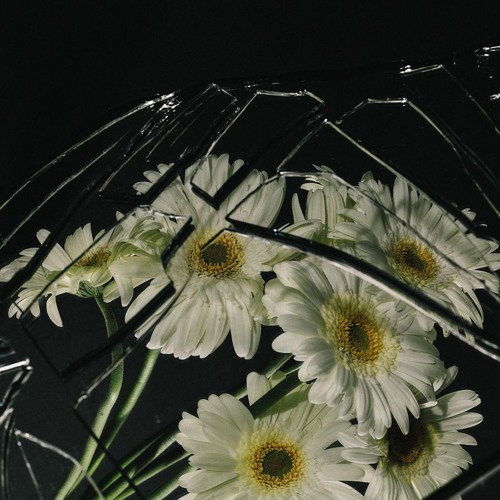 Pilerats 2015 ヾ( ͝° ͜ʖ͡°)ノ♪ by Pilerats Records on
