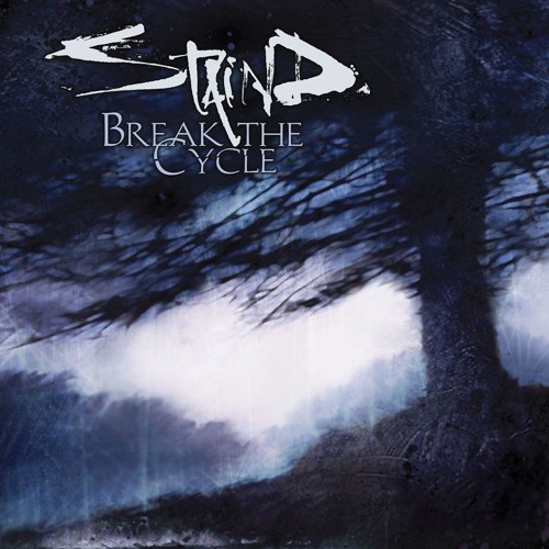 Its Been Awhile - Staind Cover