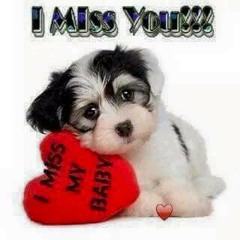 Panchito Yupa - vuelve vuelve cariñito