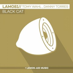 Tomy Wahl, Danny Torres - Black Cat (original mix) Lemon aid music