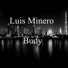 Luis Minero-Budy