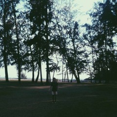 Two Seas - Seabirds (Piano version)