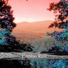 Camino Ruiz