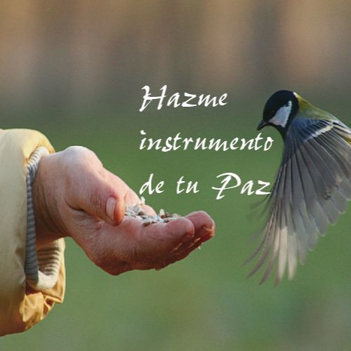 Stream Hazme instrumento de tu Paz (Cover) by Wagner Guerrero | Listen  online for free on SoundCloud