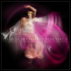 Veils in the Serpent Wind, Part II - Quartet with Jason Rubenstein, Tom Hipskind & Mirko Borach