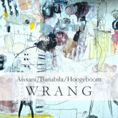 W R A N G (Aïssani/Banabila/Hoogeboom - please read description)