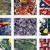 Artwork for The Stone Roses- This Is The One (Garage Flower)
