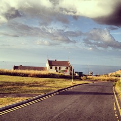 WOVEN BIRDS - COAST 3