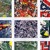 Artwork for The Stone Roses- I Wanna Be Adored (Garage Flower)