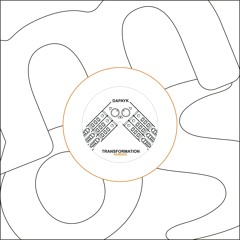 Dapayk solo - Transformation (Marek Bois Remix)