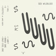 Seb Wildblood "Bonsai Care" - Boiler Room Debuts