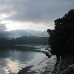 Progression Rapide Sur Le Fleuve