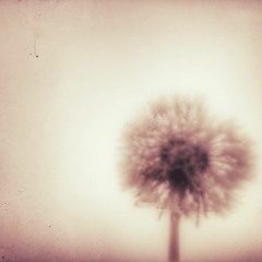 Abstrack music from olden times