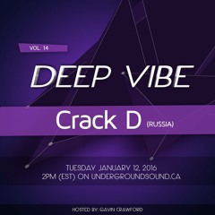 Deep Vibe Vol.14 with Crack D(Russia)