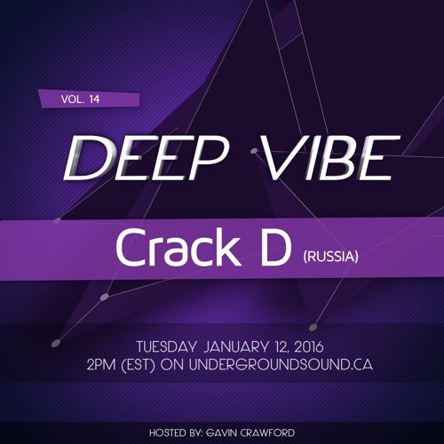 Deep Vibe Vol.14 with Crack D(Russia)