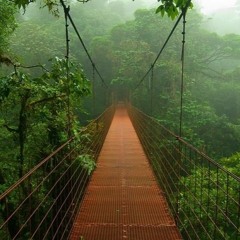 ADG - Amazon Jungle (Original Mix)