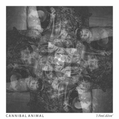 Cannibal Animal - I Feel Alive