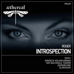 Rogier - Introspection (Original Mix) -preview-