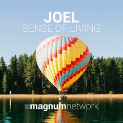 JOEL - Sense Of Living