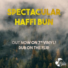 EVR7001 - Spectacular - Haffi Bun (Promo Mix)