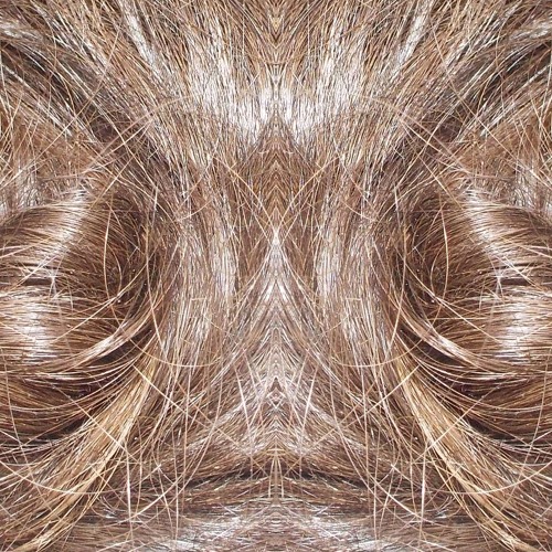 SAPOAK01