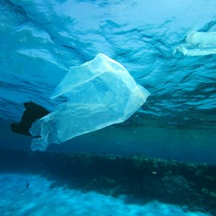 'le 7ème continent', plastisphere