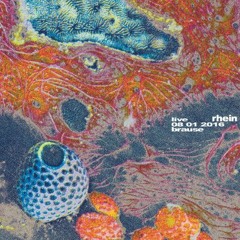 rhein 08.01.16 live Brause (excerpt)