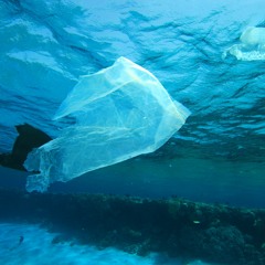 'le 7ème continent' talking_trash