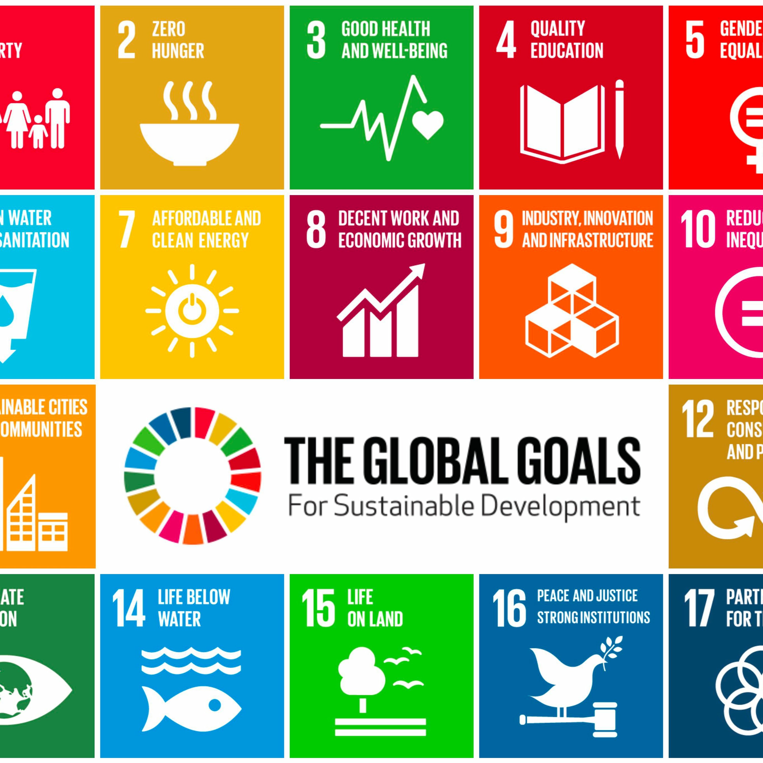 Podcast Wie Inklusiv Sind Die SDGs