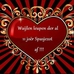 Vandoag   Spasjezot